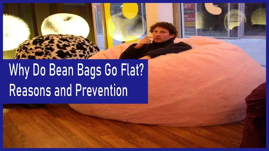 My bean bag is starting to get a little flat. What's a good